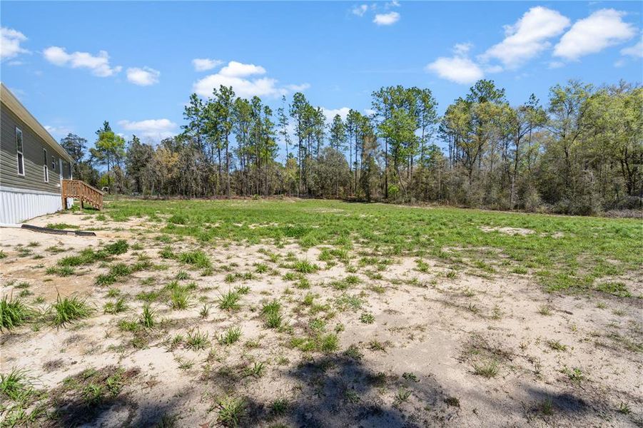 Natural landscape and outdoor views near  in Bronson (Image 31).