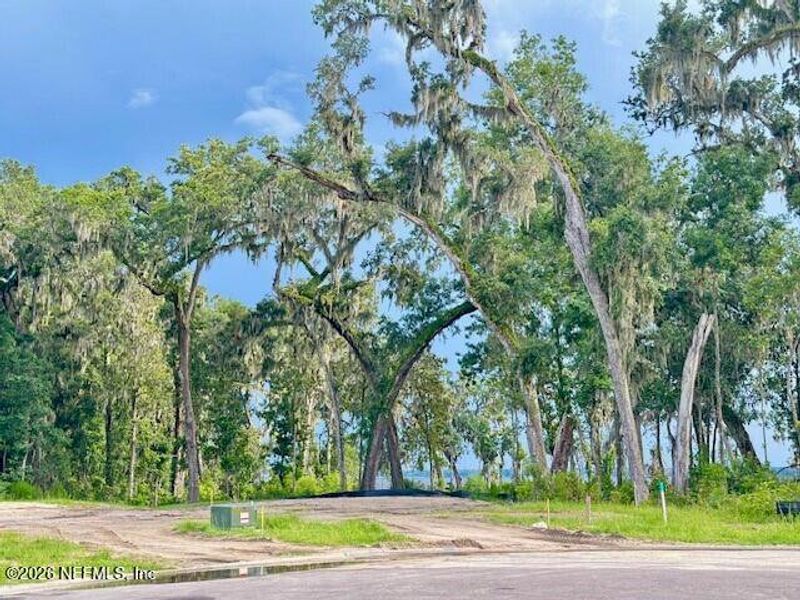 Natural landscape and outdoor views near  in St. Johns (Image 30).