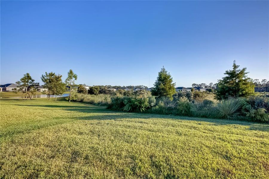 Natural landscape and outdoor views near Aviary at Rutland Ranch in Parrish (Image 26).