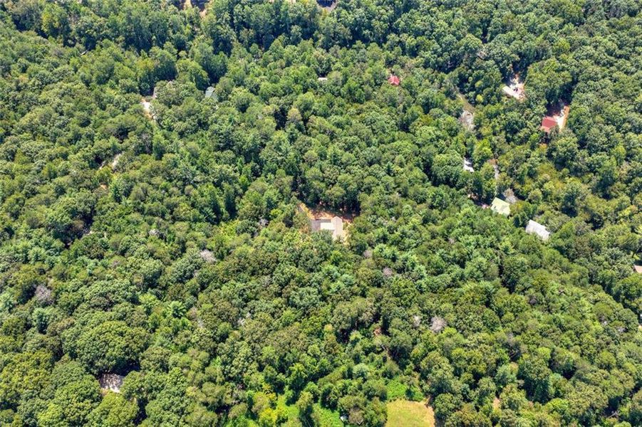 Natural landscape and outdoor views near in Ellijay (Image 50). Natural landscape and outdoor views near in Ellijay (Image 50).