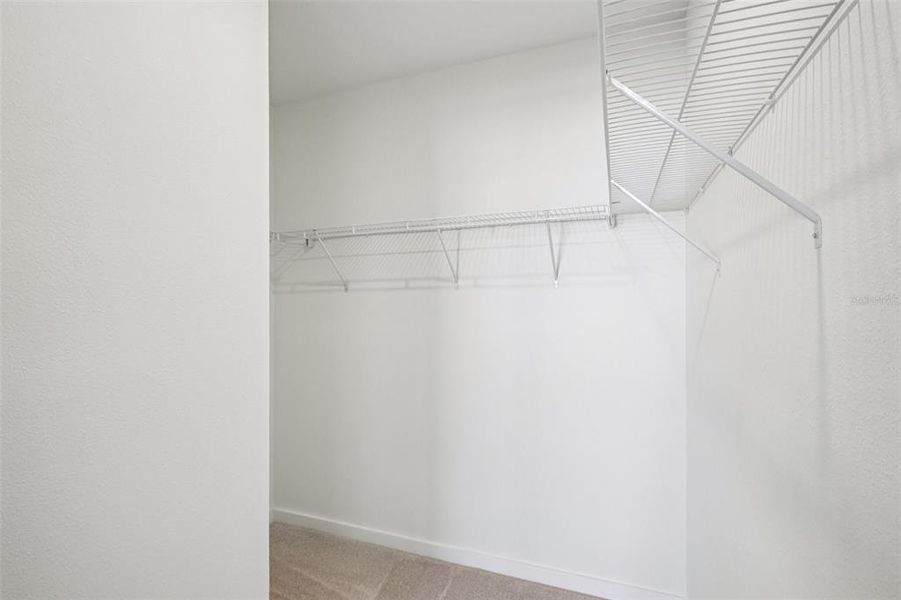 Spacious, unfurnished interior of a new home in Grasslands West, Lakeland (Image 19).