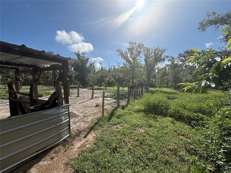 Natural landscape and outdoor views near  in Parrish (Image 19).