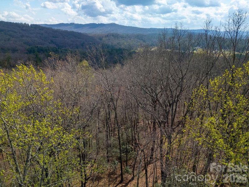 Enjoy the privacy of the Western NC Mountains