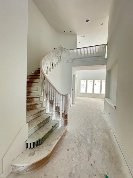 Grand Staircase & Entryway Foyer