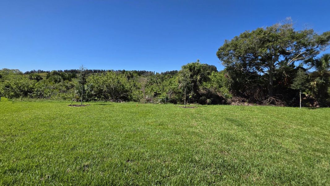 Natural landscape and outdoor views near Island Forest Preserve in Merritt Island (Image 9).
