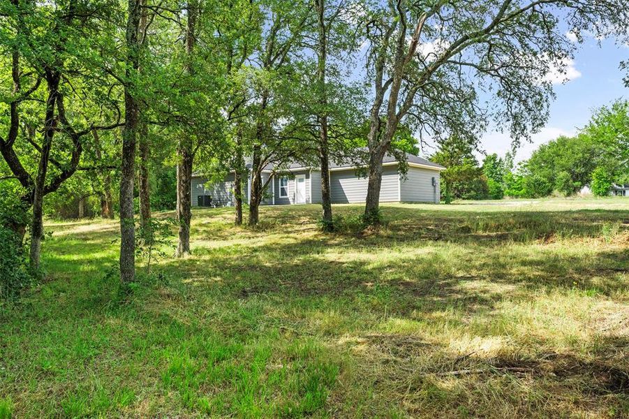 Natural landscape and outdoor views near  in Corsicana (Image 35).