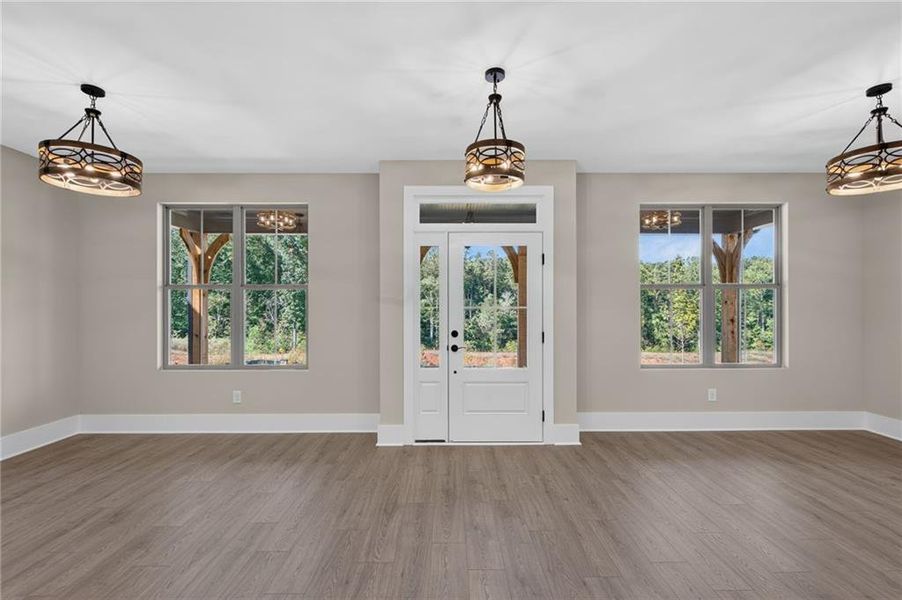 Spacious, unfurnished interior of a new home in , Dawsonville (Image 21).