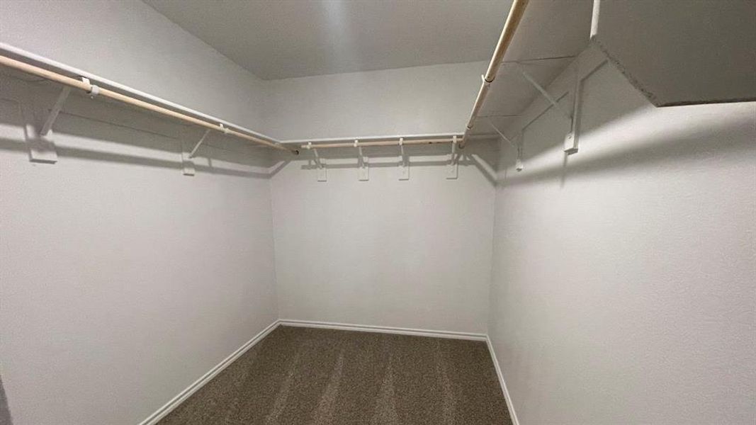 Spacious closet featuring wall-mounted shelving and hanging rods