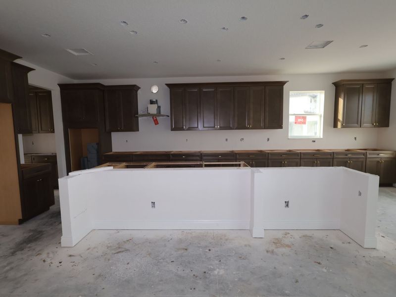 Kitchen Kitchen