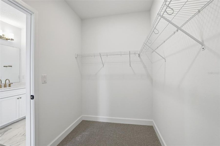 Spacious, unfurnished interior of a new home in , Tampa (Image 38).