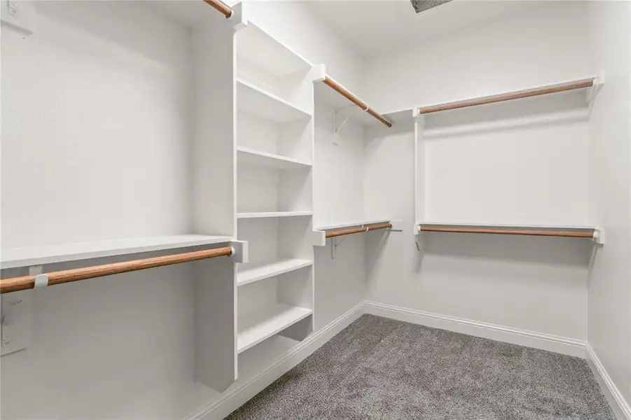 Walk-in closet featuring white built-in shelving, multiple hanging rods, and grey carpeting