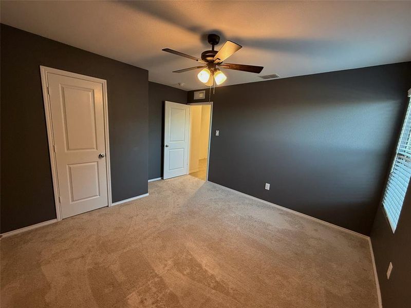 Carpeted interior space featuring dark gray walls and white trim Carpeted interior space featuring dark gray walls and white trim