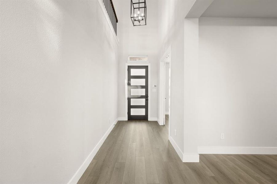 2115 Birdwatch-  Entry-1