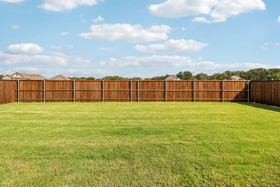 Backyard