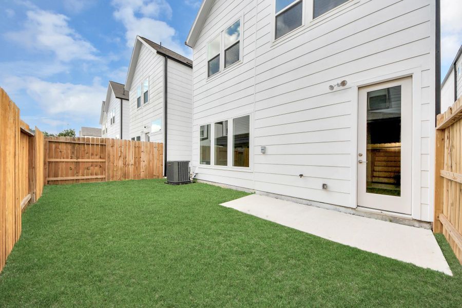 backyard