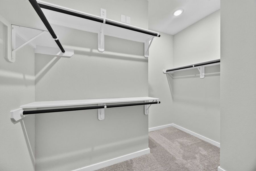 11931 Avian Avenue - Juniper - Primary Closet