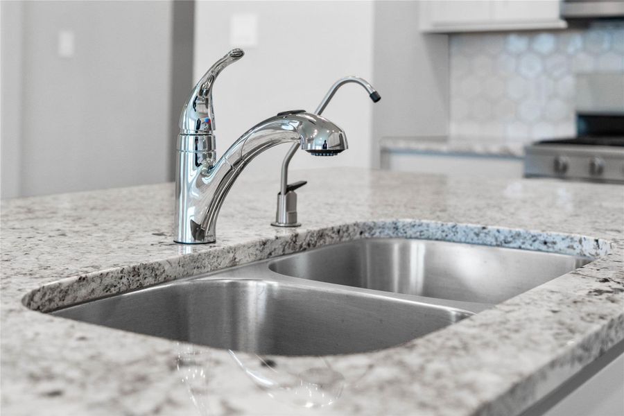 The kitchen features a stainless steel 50/50 undermount sink and a Moen Integra chrome kitchen faucet with DuPure water filtration system.