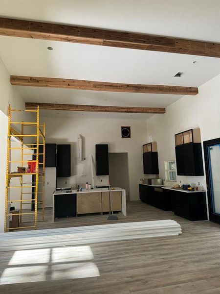 16 ft Ceiling in Kitchen and Living Area