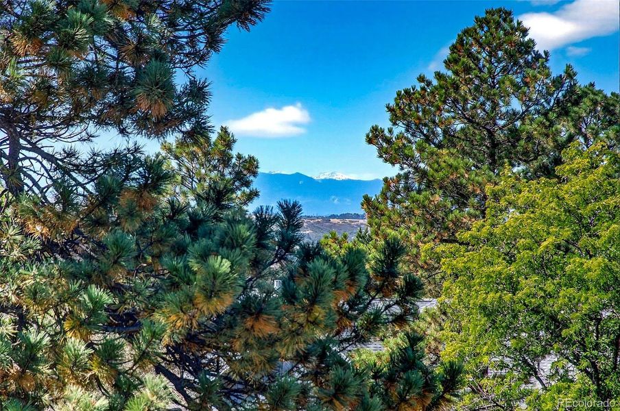 Natural landscape and outdoor views near  in Parker (Image 35).