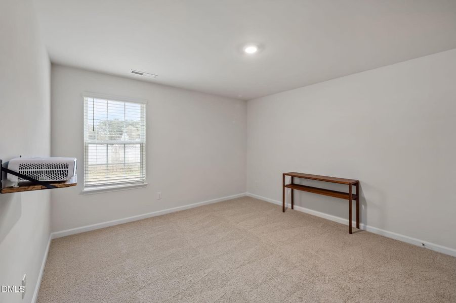 33-web-or-mls-P1110684