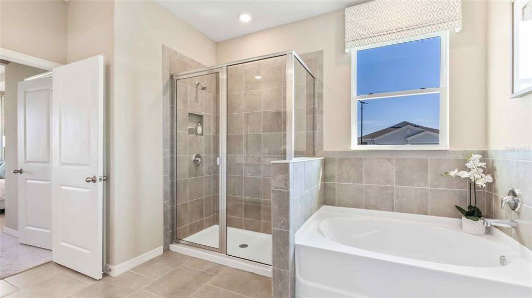 Furnished interior view inside a new home in , Plant City (Image 8). Furnished interior view inside a new home in , Plant City (Image 8).