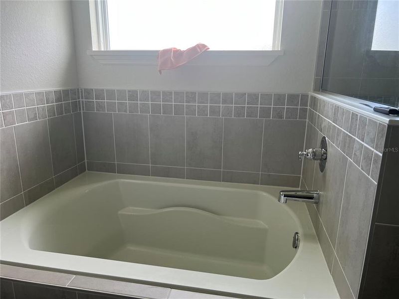 Master Bed Room Step-in Tub