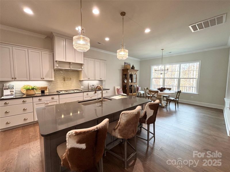 Furnished interior view inside a new home in Irish Creek, Landis (Image 4). Furnished interior view inside a new home in Irish Creek, Landis (Image 4).