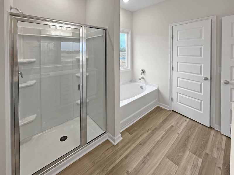 Furnished interior view inside a new home in Tibet Road at Sassafras, Allenhurst (Image 11). Furnished interior view inside a new home in Tibet Road at Sassafras, Allenhurst (Image 11).