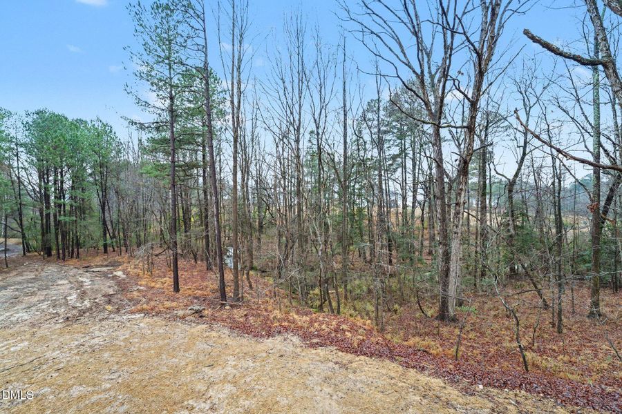 046_file_1908 046_file_1908