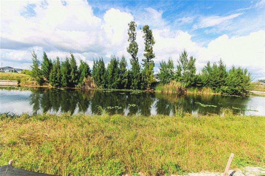 Natural landscape and outdoor views near  in Cape Coral (Image 19).