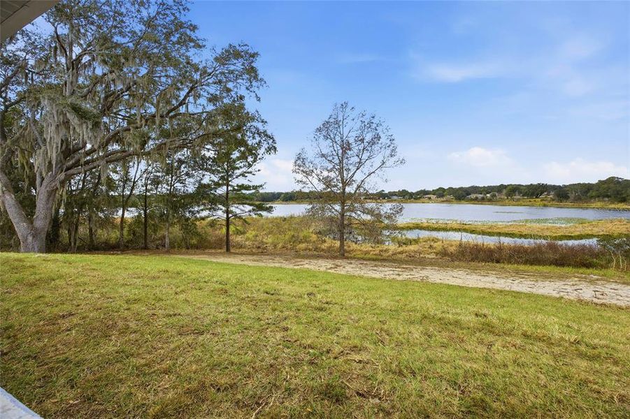 Natural landscape and outdoor views near  in Ocala (Image 26).