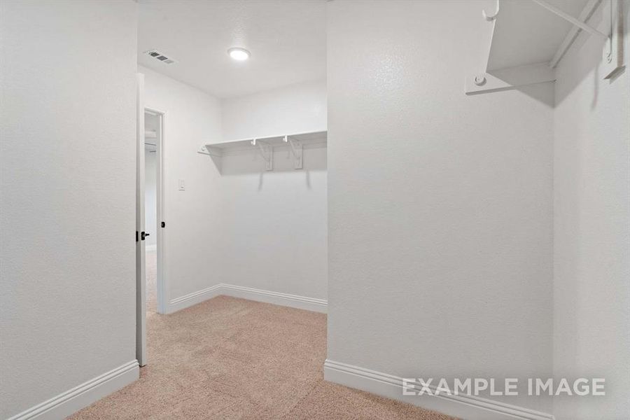 Spacious closet featuring carpet