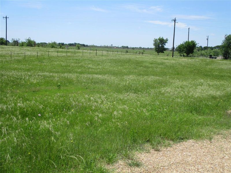 Natural landscape and outdoor views near  in Kaufman (Image 26).