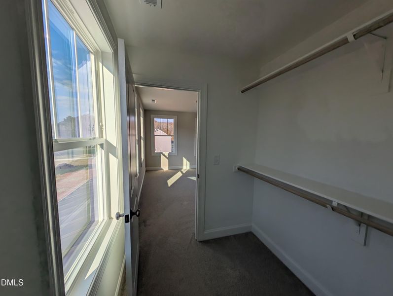 PXL_20251120_143252350 PXL_20251120_143252350