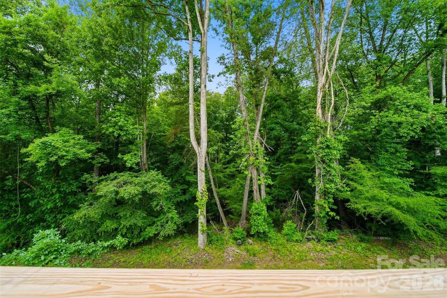 Natural landscape and outdoor views near  in Lenoir (Image 40).