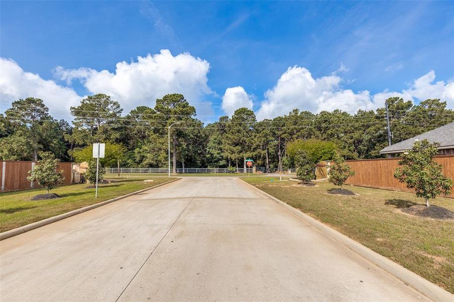 A lovely home located in a clean and quiet neighborhood in Tomball. Whether you're looking for a first home, retirement home, or investment property, this is a fantastic opportunity! Built in 2024, this home is almost brand new. Conveniently located within 30 minutes of Cinco Ranch Town Square, The Woodlands Mall, Cypress Towne Lake, Katy Mills, and Katy Asian Town. Approximately one hour from Texas A&M University in College Station. Enjoy easy access to Texas State Highway 99 (Grand Parkway), a major outer loop connecting the Greater Houston area. A lovely home located in a clean and quiet neighborhood in Tomball. Whether you're looking for a first home, retirement home, or investment property, this is a fantastic opportunity! Built in 2024, this home is almost brand new. Conveniently located within 30 minutes of Cinco Ranch Town Square, The Woodlands Mall, Cypress Towne Lake, Katy Mills, and Katy Asian Town. Approximately one hour from Texas A&M University in College Station. Enjoy easy access to Texas State Highway 99 (Grand Parkway), a major outer loop connecting the Greater Houston area.