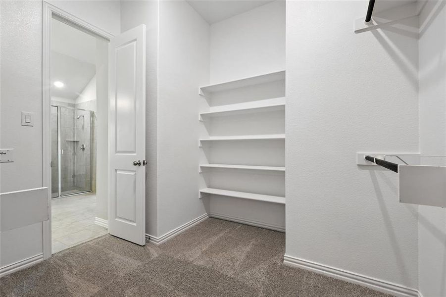 Spacious closet featuring light colored carpet