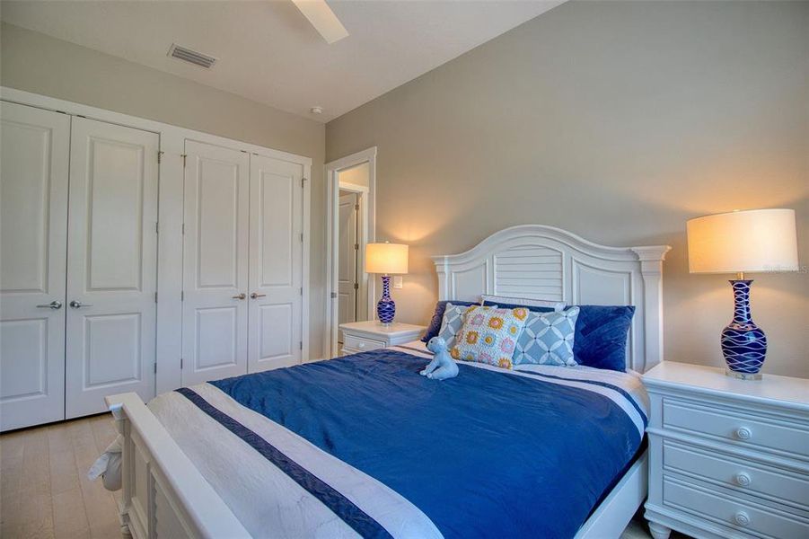 Furnished interior view inside a new home in , Dunedin (Image 12).