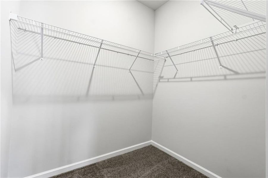 Spacious, unfurnished interior of a new home in Carolina, Palmetto (Image 25).