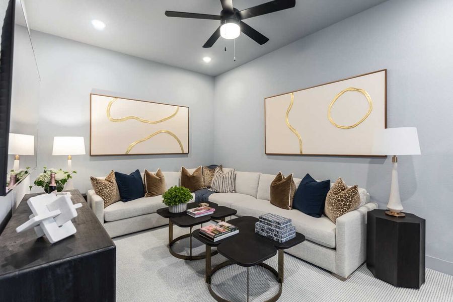 Entertainment Room
