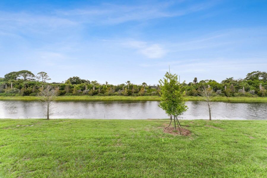 Natural landscape and outdoor views near in Stuart (Image 49). Natural landscape and outdoor views near in Stuart (Image 49).