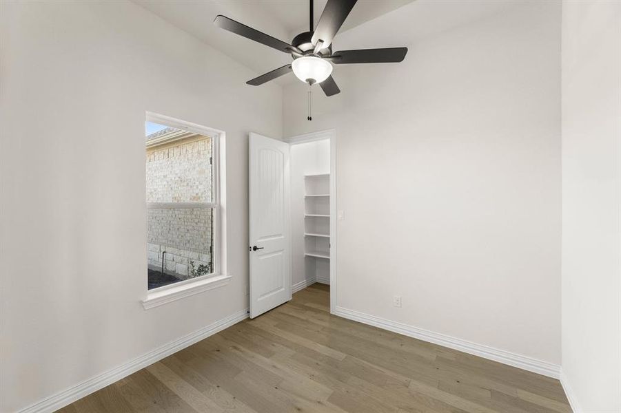 1473 Saguaro-Study-1