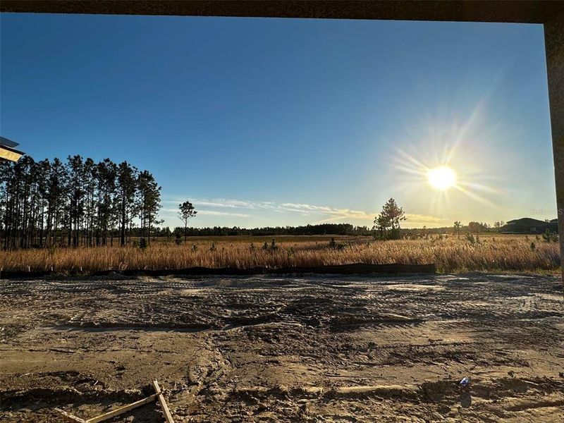 Backyard View