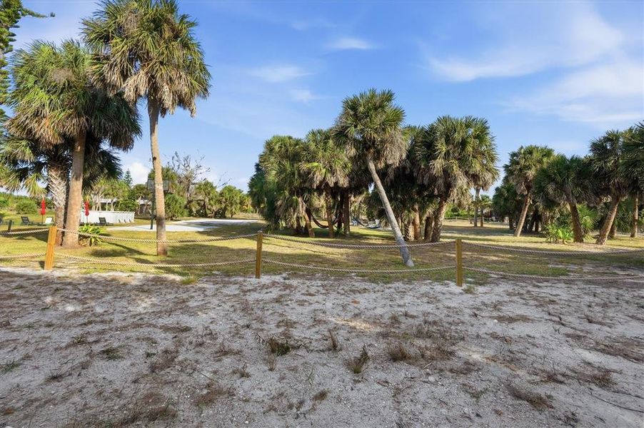 Natural landscape and outdoor views near  in Placida (Image 32).