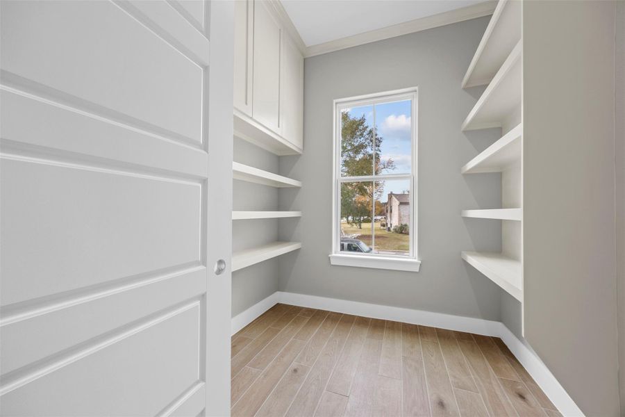 Extra large pantry off the kitchen Extra large pantry off the kitchen