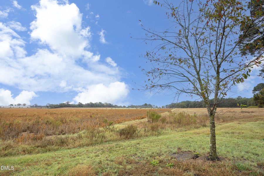 58BeyondFence 58BeyondFence