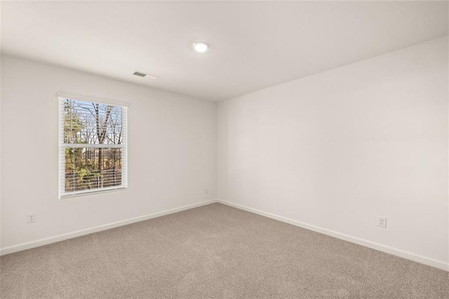 Spacious, unfurnished interior of a new home in Locust Grove Station - Cedar Ridge, Locust Grove (Image 14). Spacious, unfurnished interior of a new home in Locust Grove Station - Cedar Ridge, Locust Grove (Image 14).