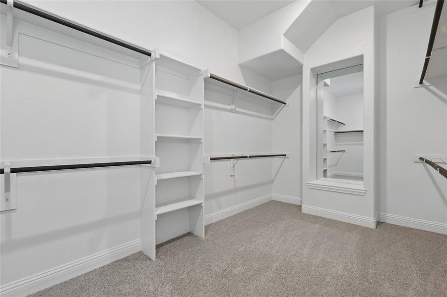 Spacious closet featuring light carpet