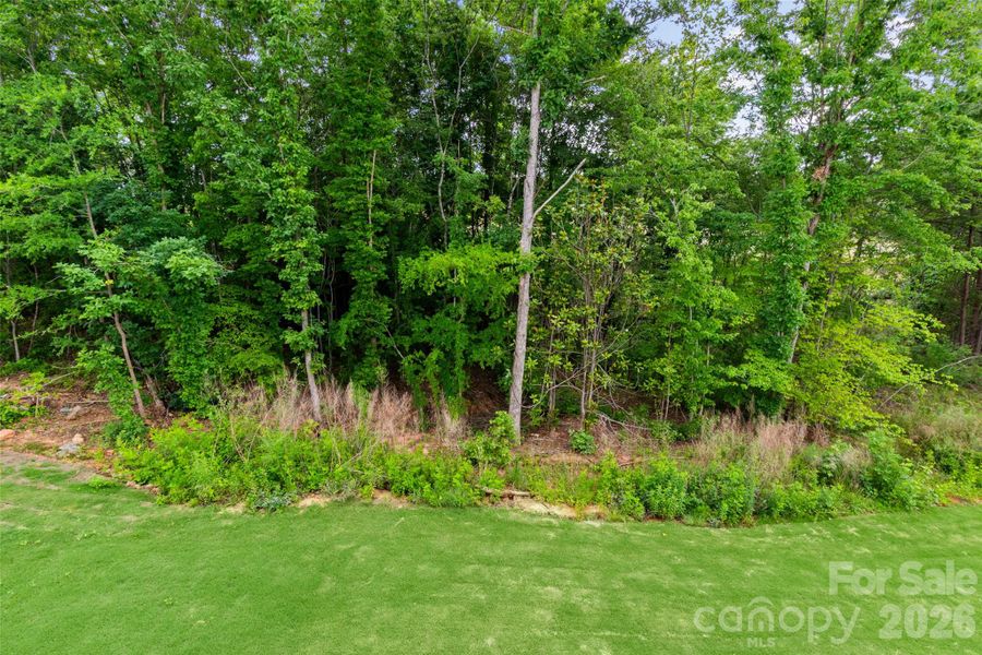 Natural landscape and outdoor views near  in Statesville (Image 38).