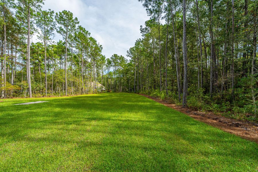 Natural landscape and outdoor views near  in Awendaw (Image 45).